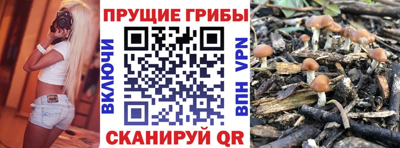Псилоцибиновые грибы Magic Shrooms Реутов